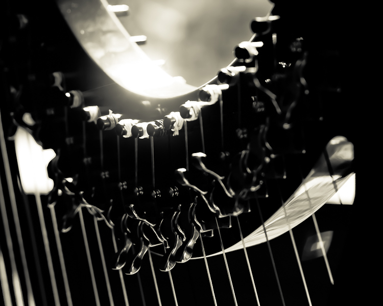 Harp Festival (1 of 54).jpg